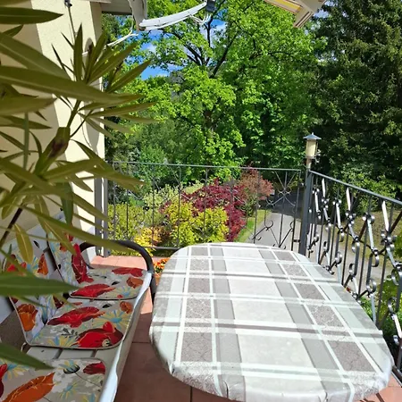 Boehme Aue باد شليما