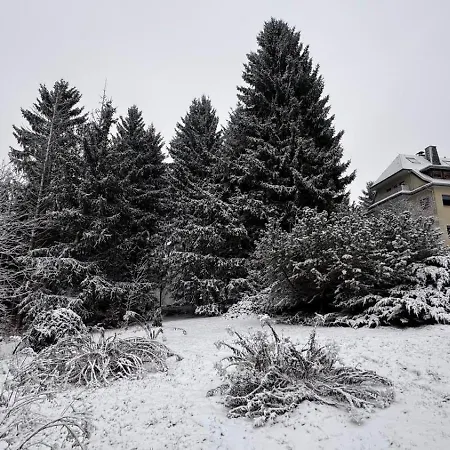 Appartement Boehme Aue *